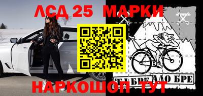 гидра Ставрополь