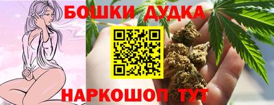 ешки Сланцы