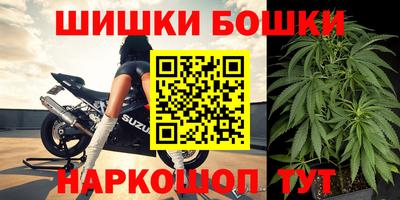 гидра Ставрополь